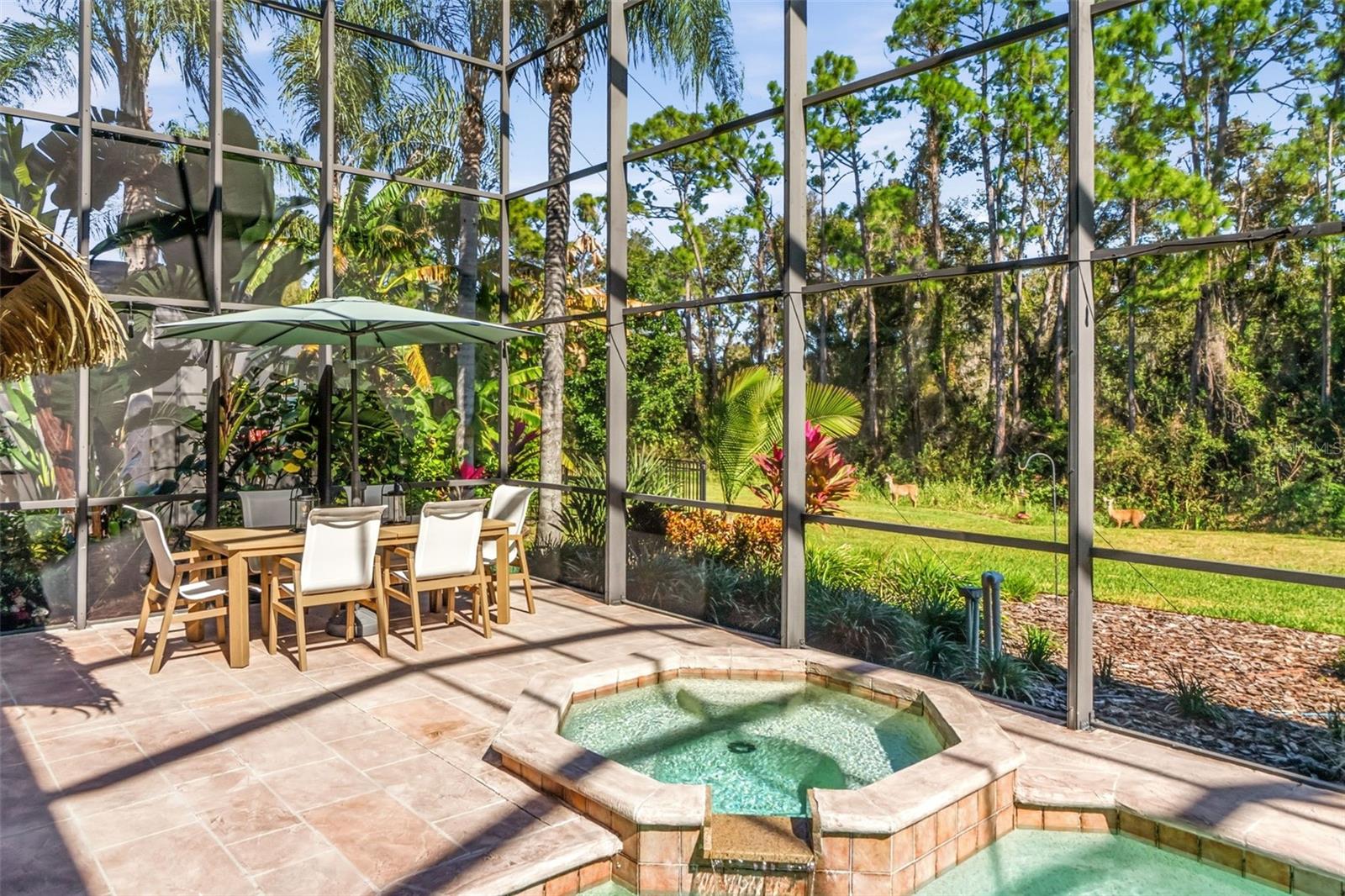 Image 41 of 64 For 7020 Scrub Jay Drive