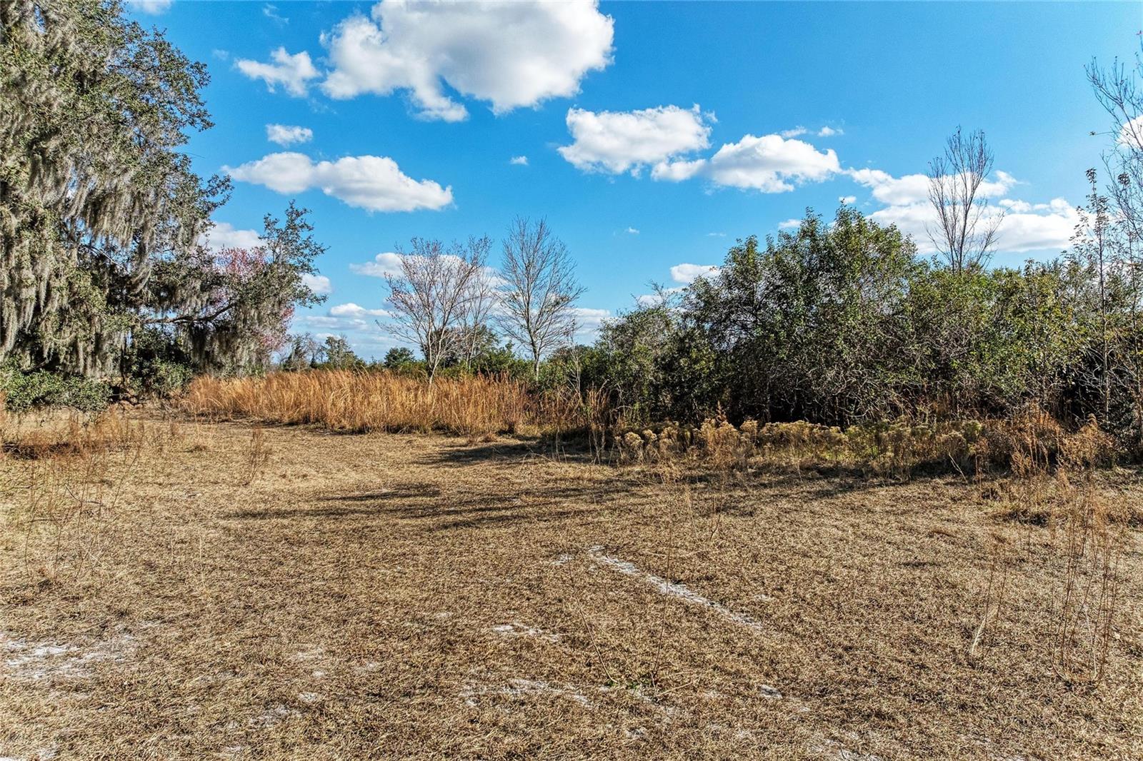 Listing photo id 8 for 33100 & 33070 Taylor Grade Road