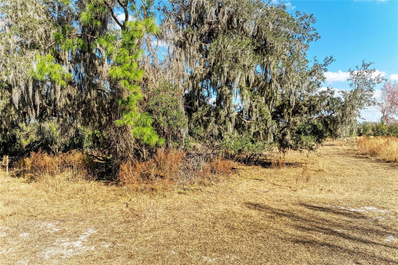 Listing photo id 10 for 33100 & 33070 Taylor Grade Road
