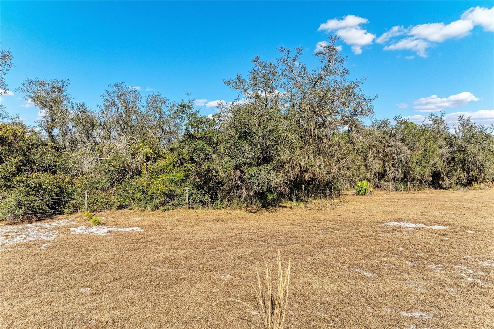 Listing photo id 12 for 33100 & 33070 Taylor Grade Road