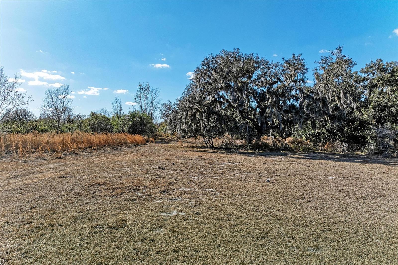Listing photo id 14 for 33100 & 33070 Taylor Grade Road