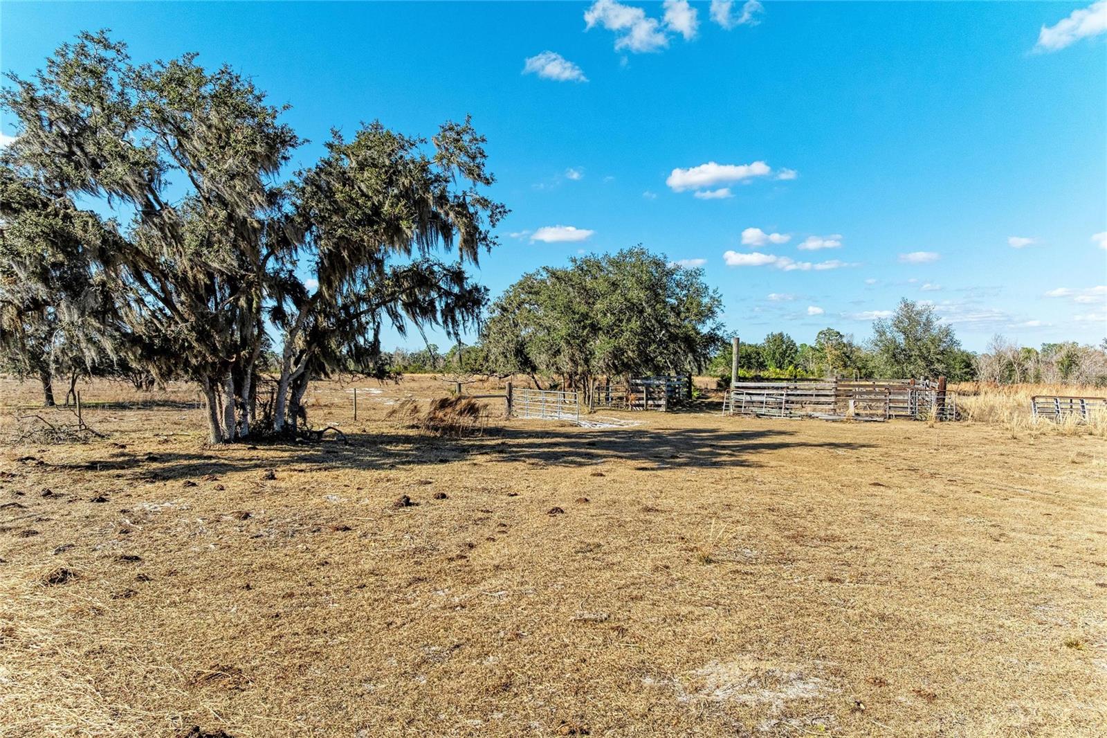 Listing photo id 15 for 33100 & 33070 Taylor Grade Road