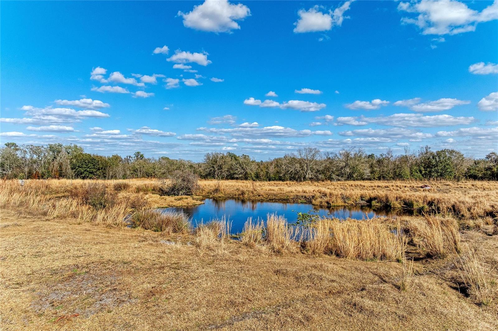 Listing photo id 16 for 33100 & 33070 Taylor Grade Road
