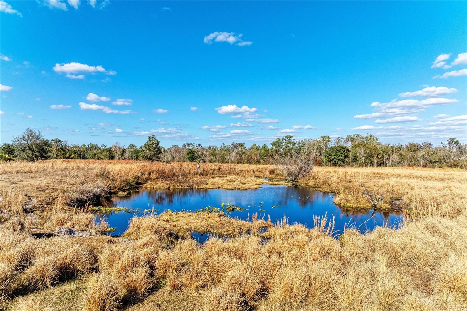 Listing photo id 17 for 33100 & 33070 Taylor Grade Road