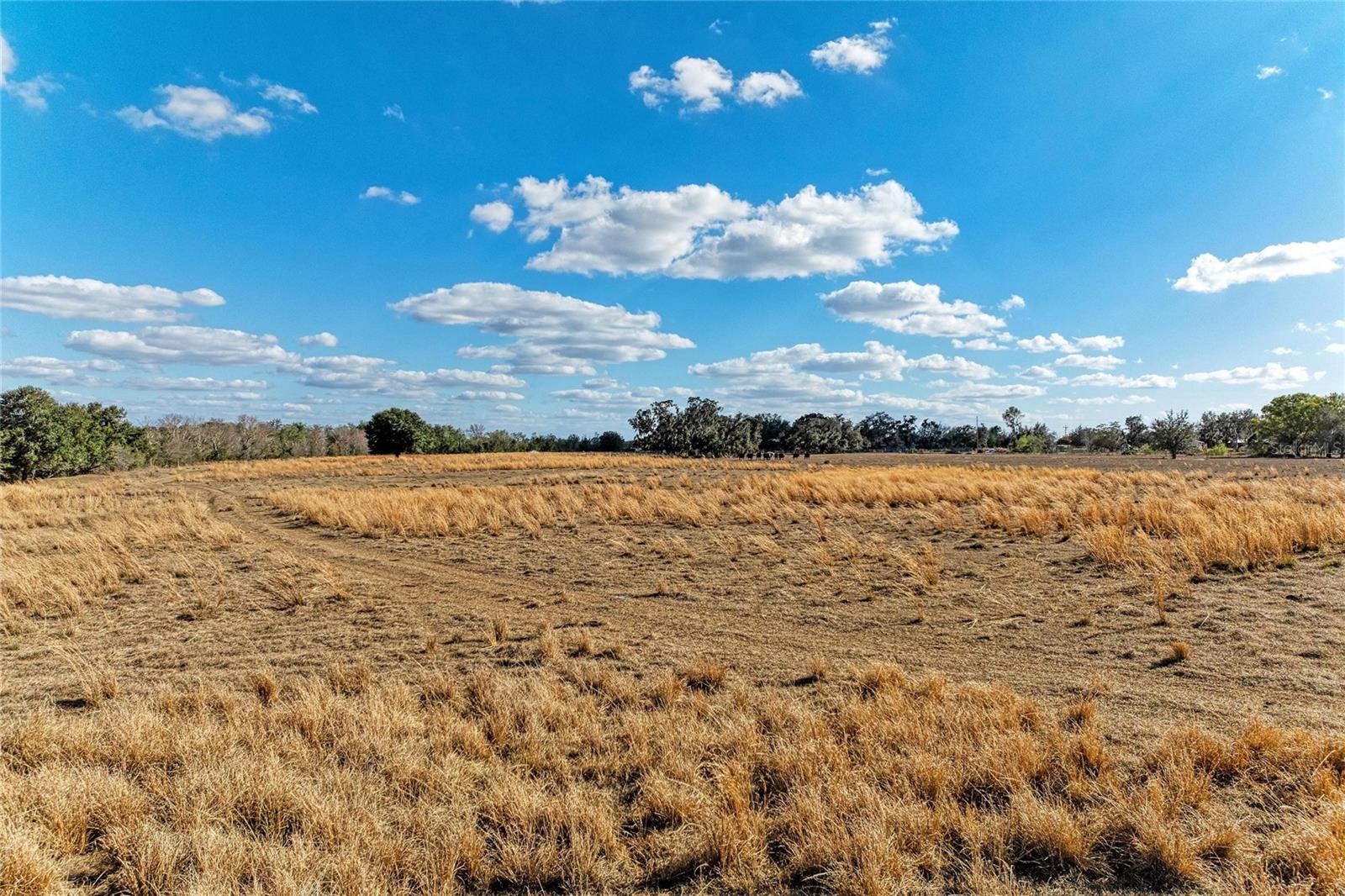 Listing photo id 19 for 33100 & 33070 Taylor Grade Road