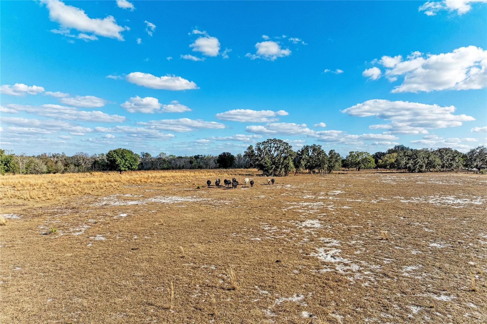 Listing photo id 20 for 33100 & 33070 Taylor Grade Road