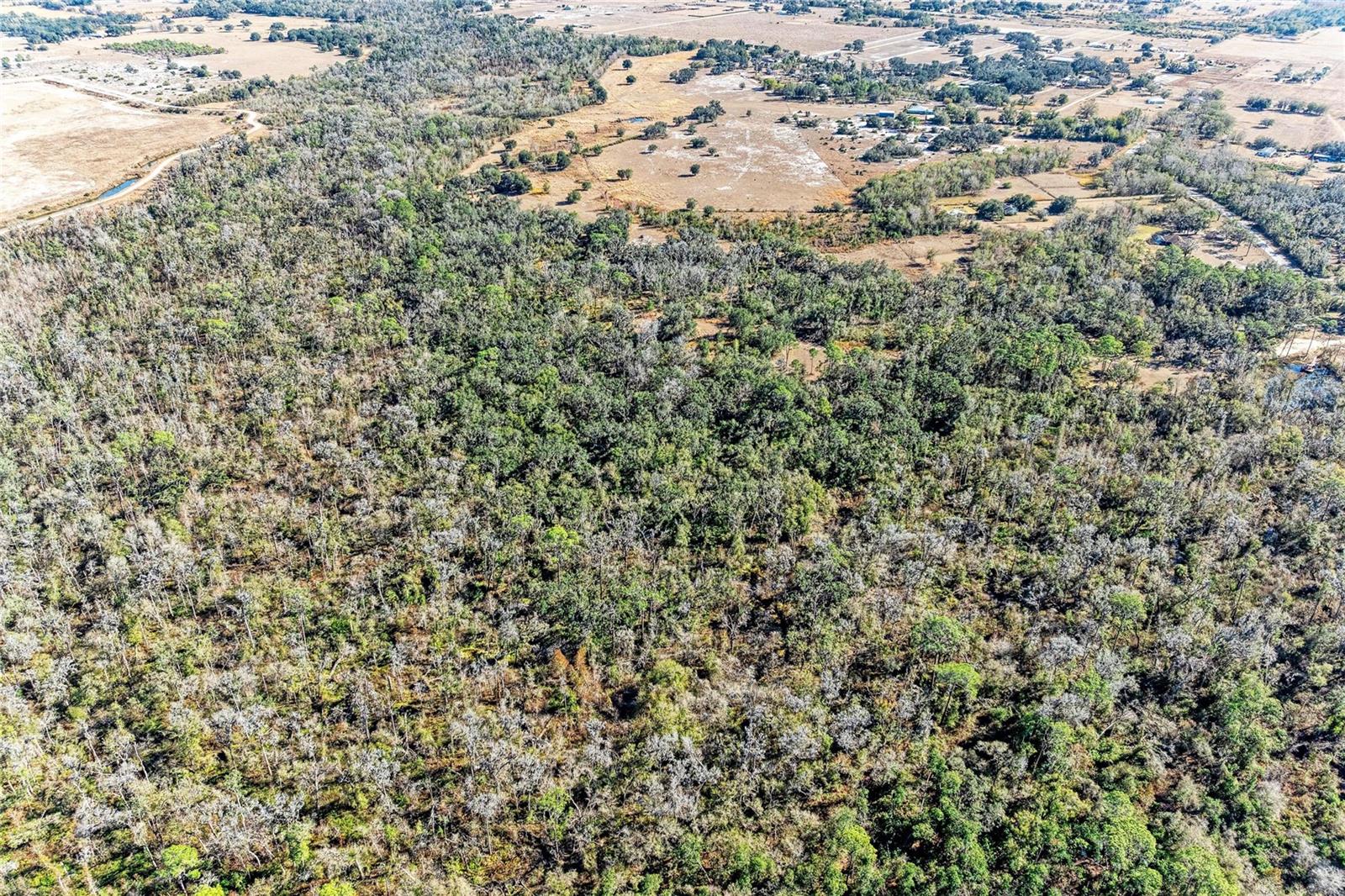 Listing photo id 28 for 33100 & 33070 Taylor Grade Road