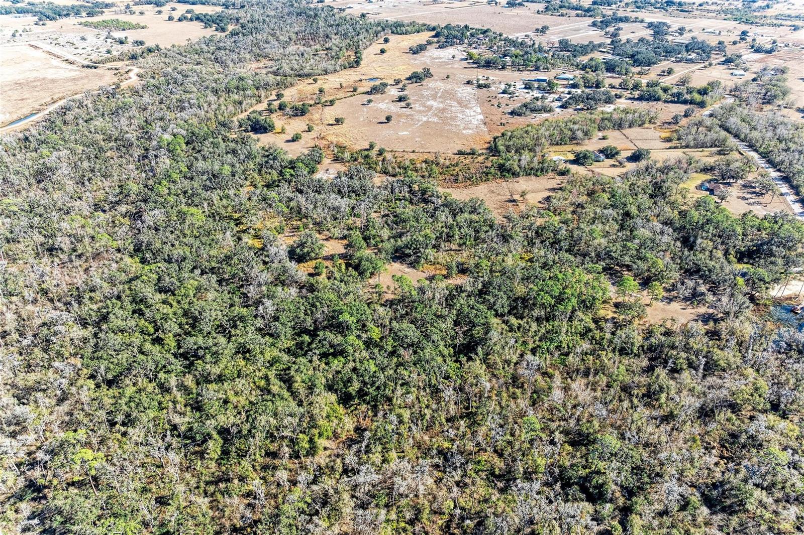 Listing photo id 30 for 33100 & 33070 Taylor Grade Road