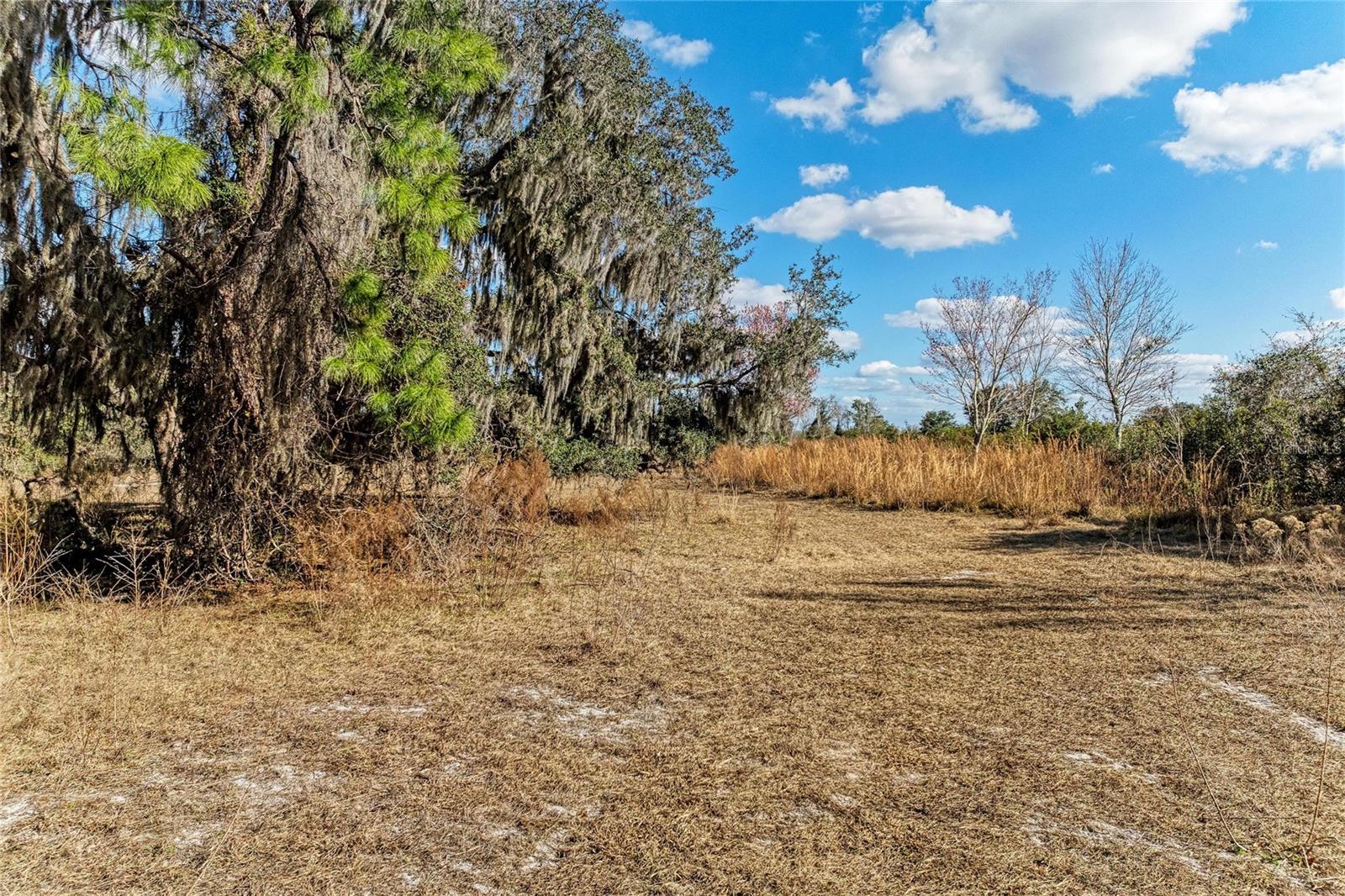 Listing photo id 7 for 33100 & 33070 Taylor Grade Road