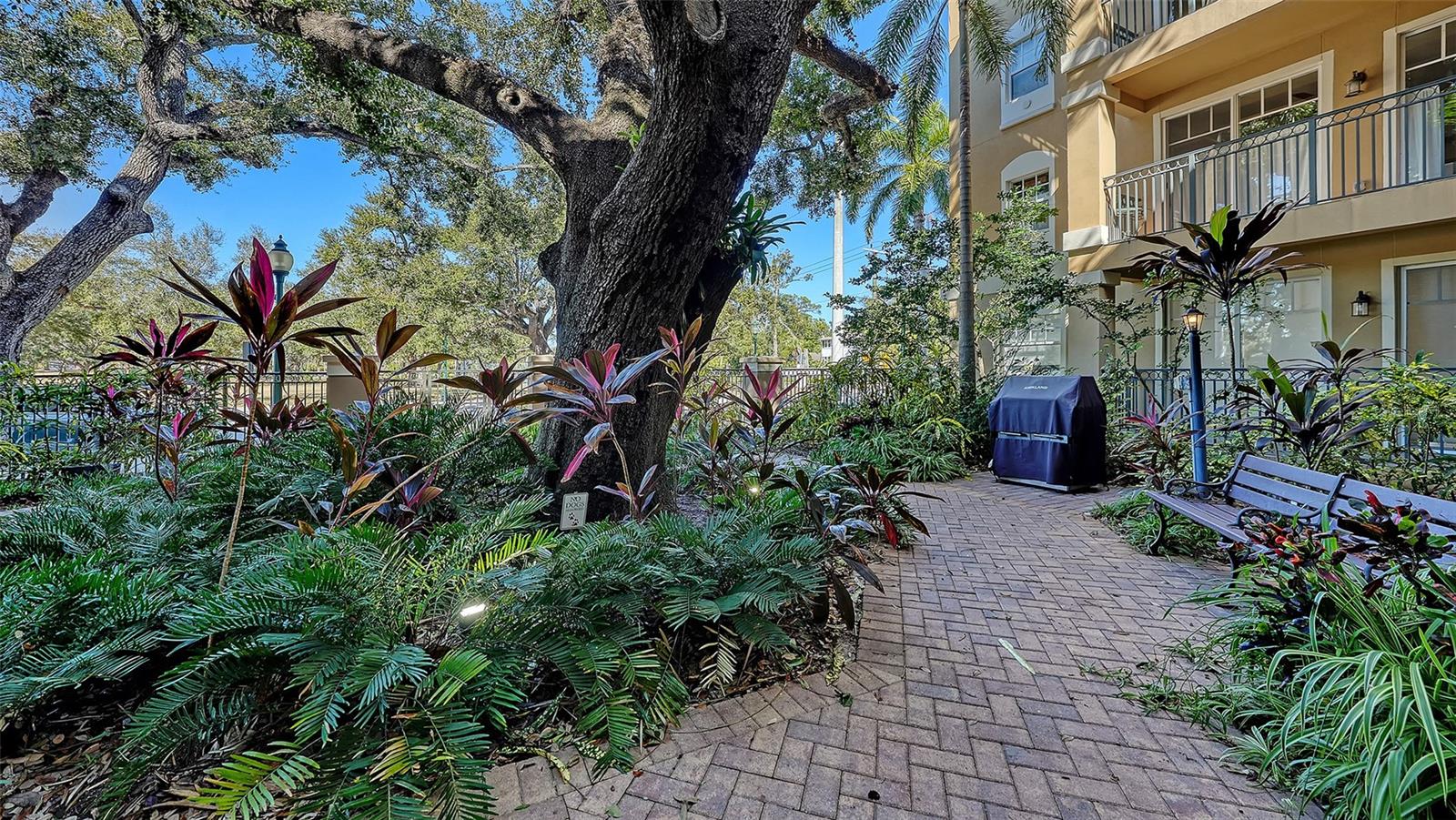 Image 13 of 40 For 1268 11th Street 2403