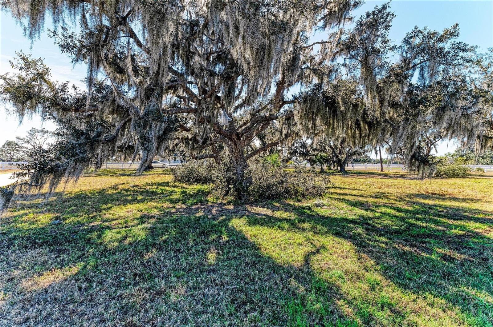 Image 79 of 87 For 16315 Hidden Horse Way