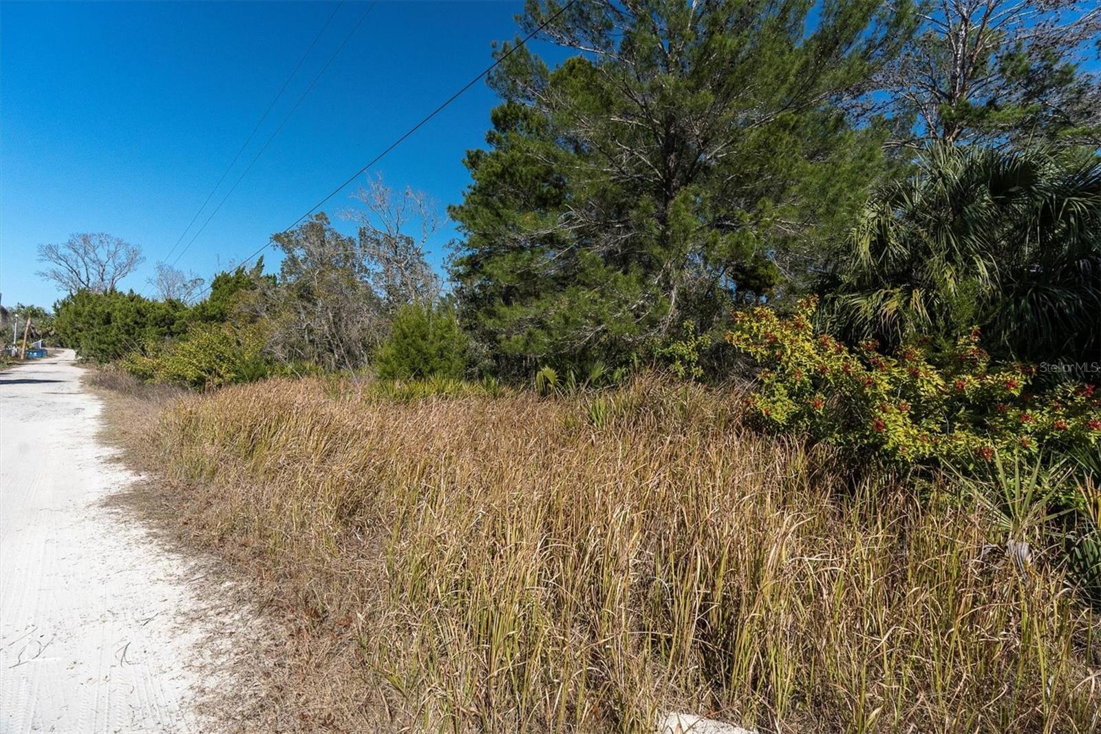 Image 12 of 14 For Tbd Owen Drive