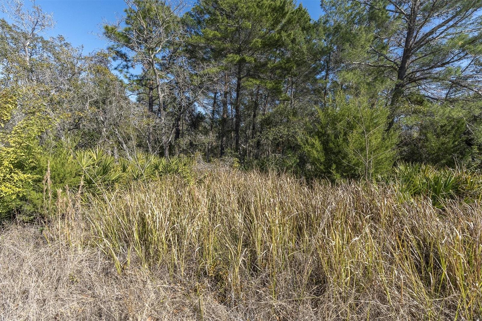 Image 14 of 14 For Tbd Owen Drive