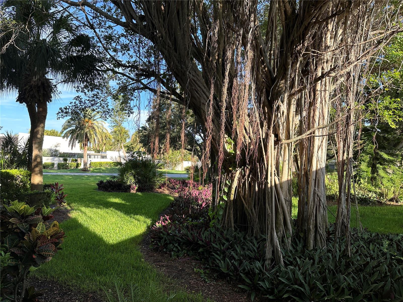 Image 14 of 29 For 655 Woodlawn Drive 655