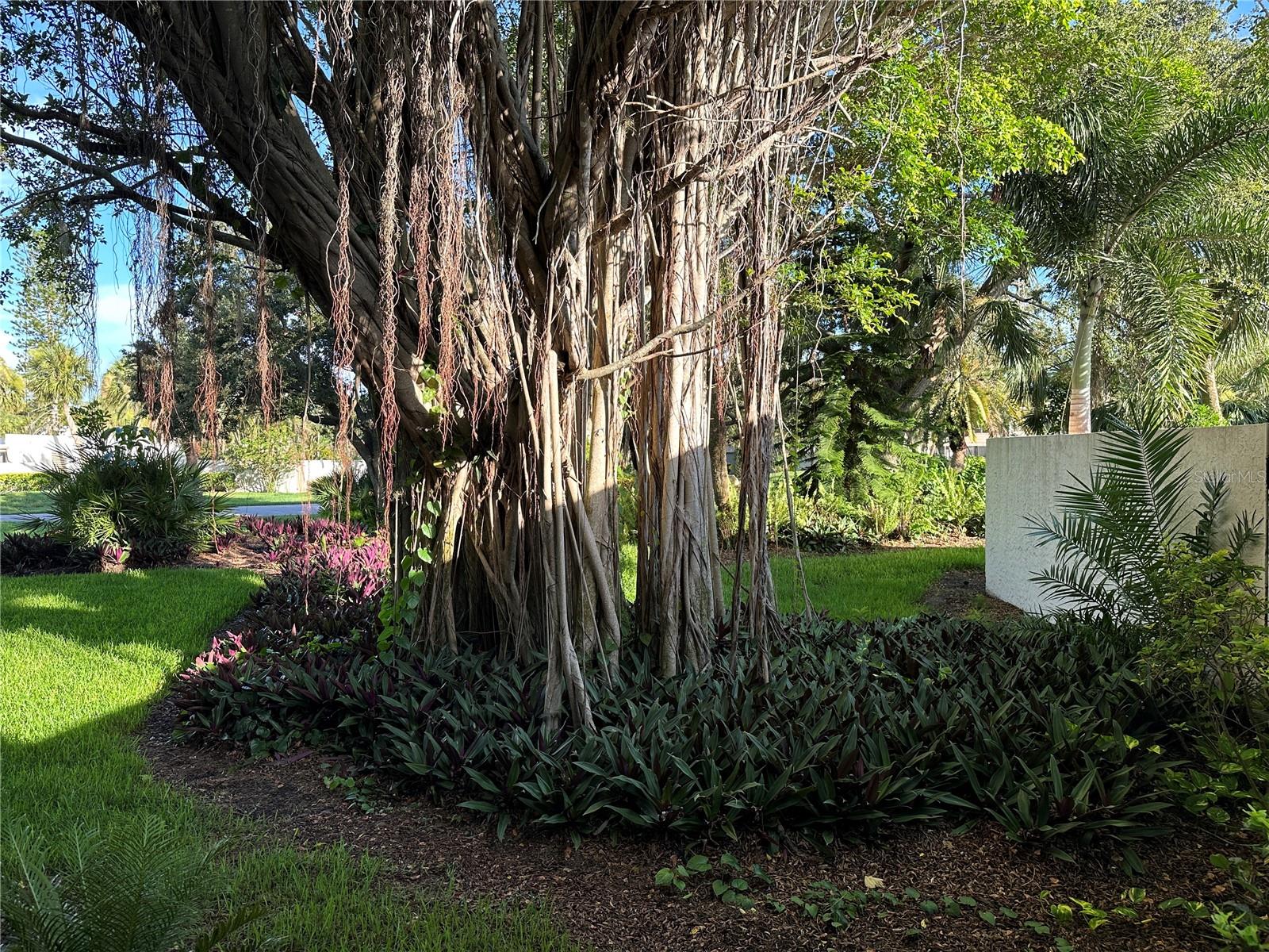 Image 15 of 29 For 655 Woodlawn Drive 655