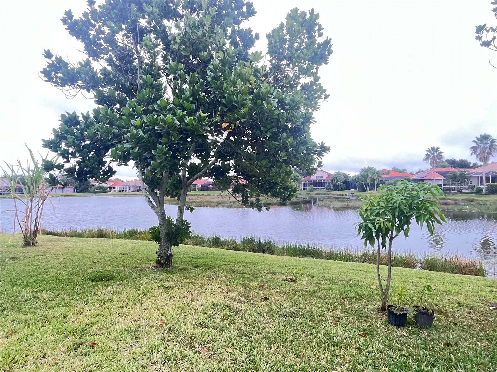 Image 15 of 15 For 6139 46th Street E