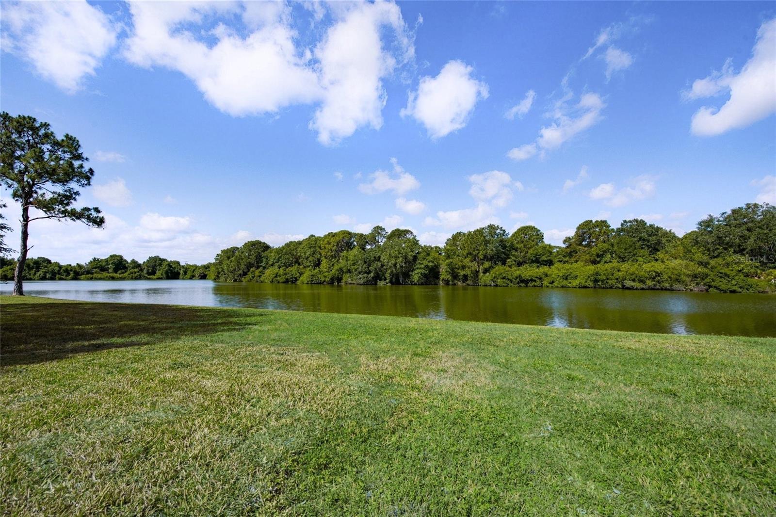 Image 48 of 50 For 9075 Misty Creek Drive