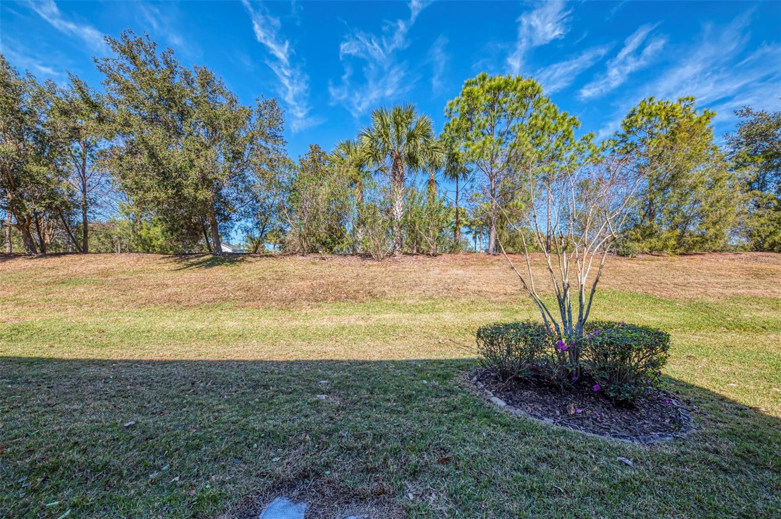 Image 46 of 65 For 12369 Trailhead Drive