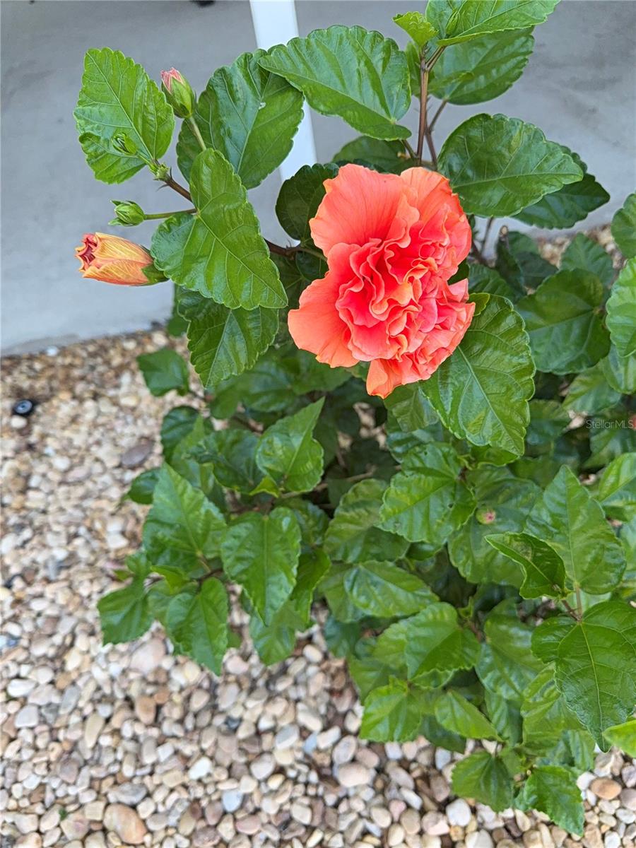 Image 28 of 44 For 8304 Princess Court