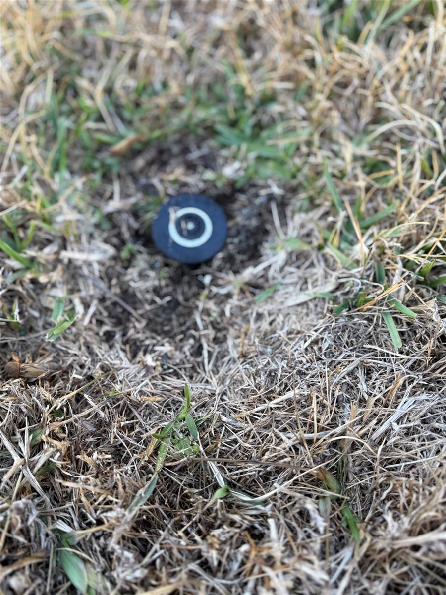 Image 38 of 44 For 8304 Princess Court