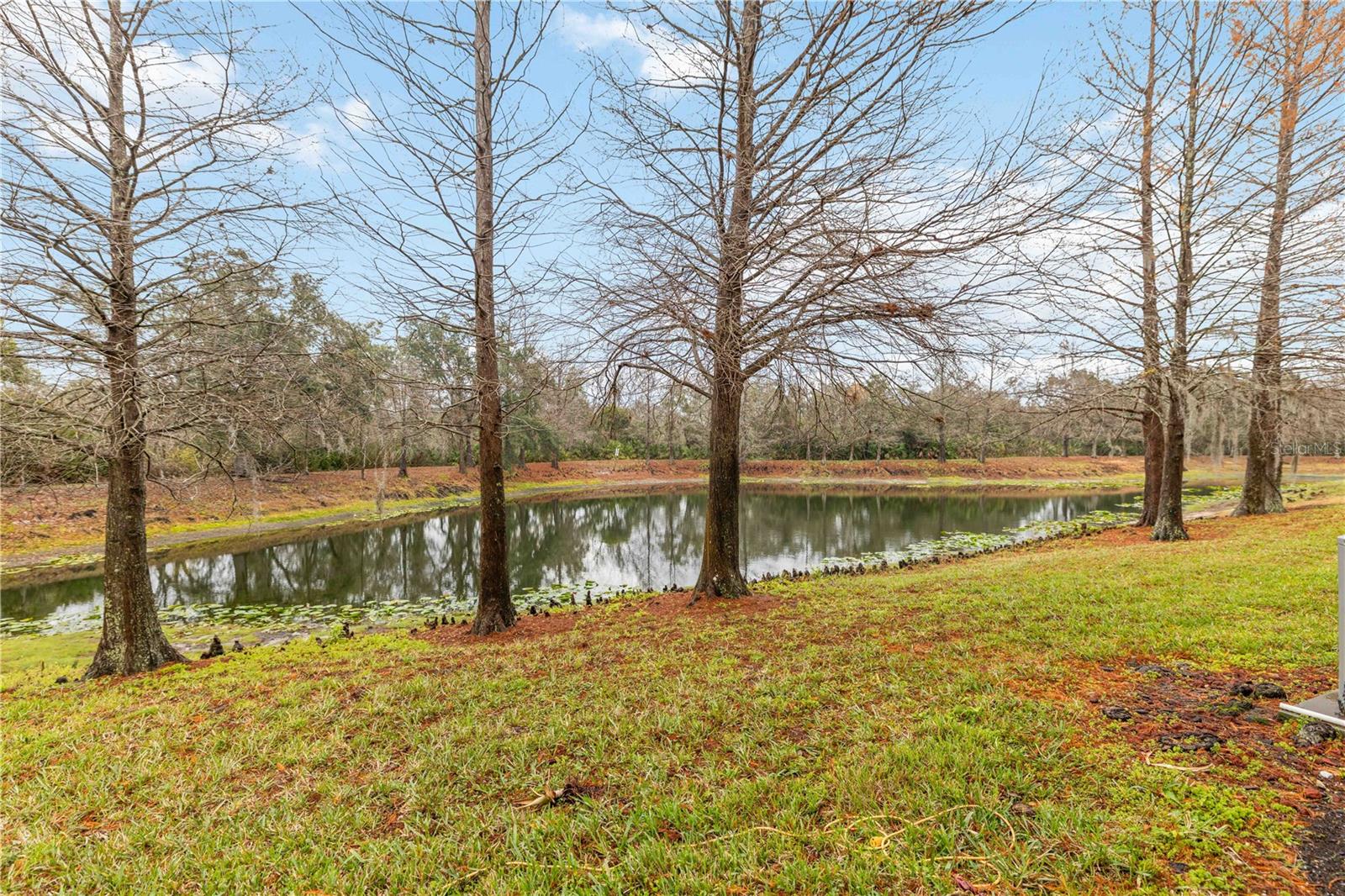 Image 53 of 57 For 9040 White Sage Loop