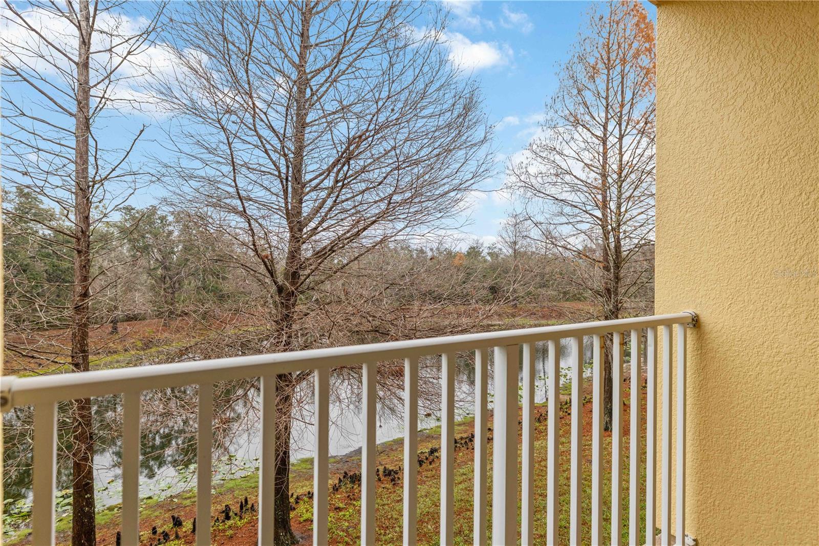 Image 56 of 57 For 9040 White Sage Loop