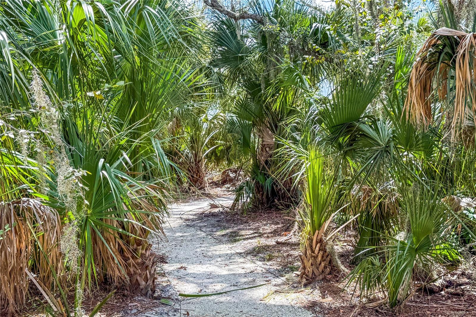 Image 69 of 90 For 10170 Daybreak Glen