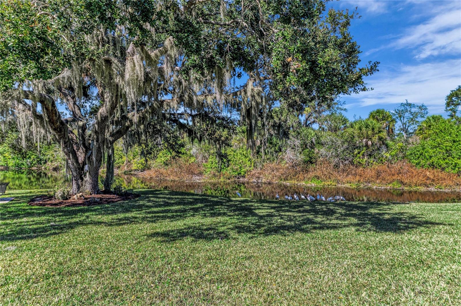 Image 72 of 86 For 12809 Sheringham Way