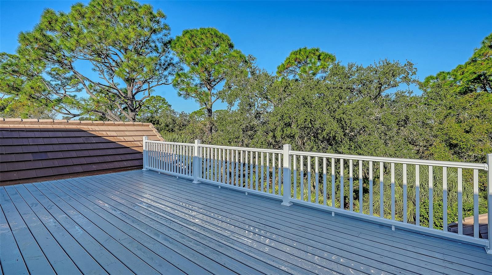 Image 58 of 83 For 156 Bishopscourt Road