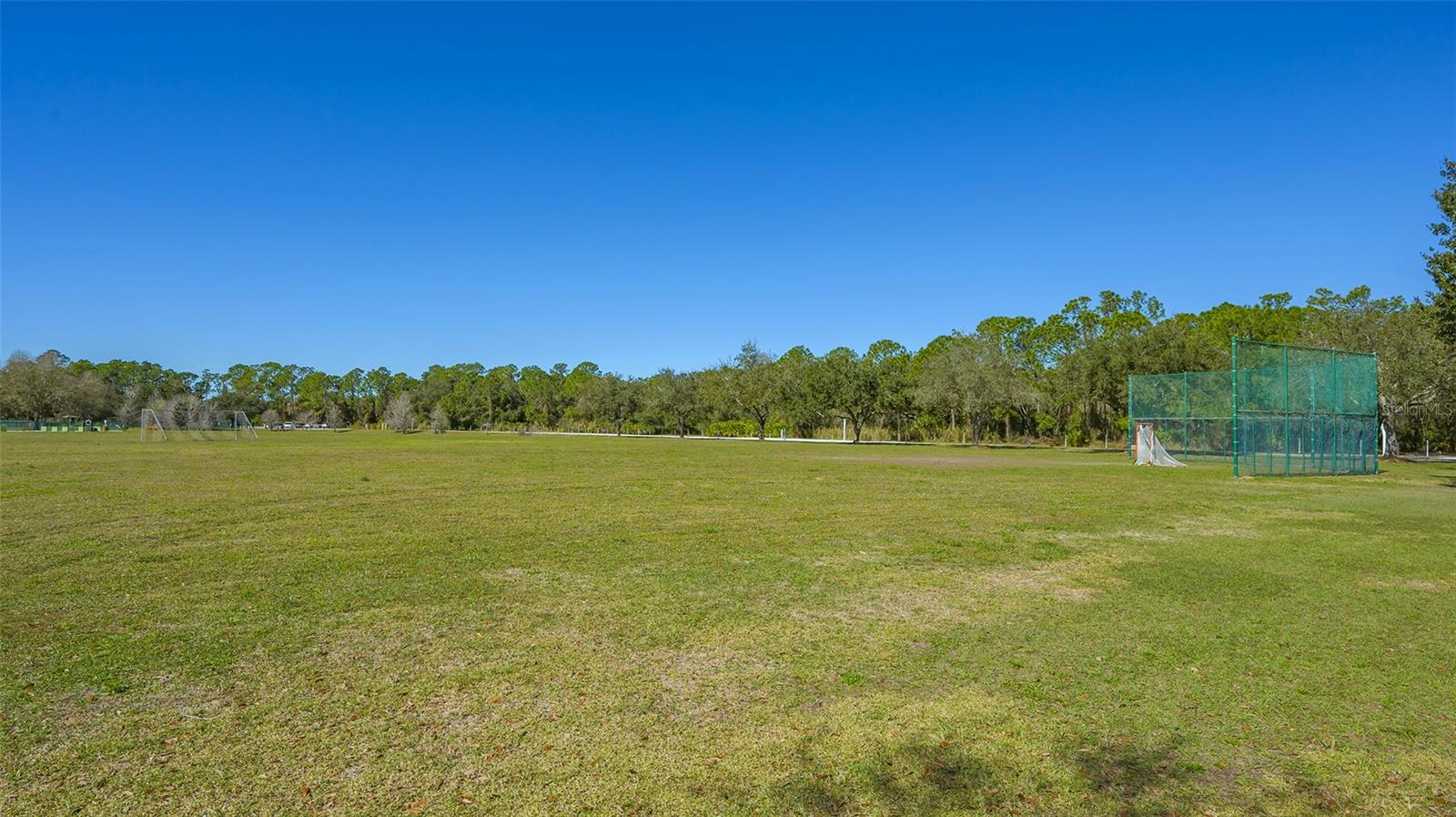 Image 59 of 66 For 6433 Blue Grosbeak Circle