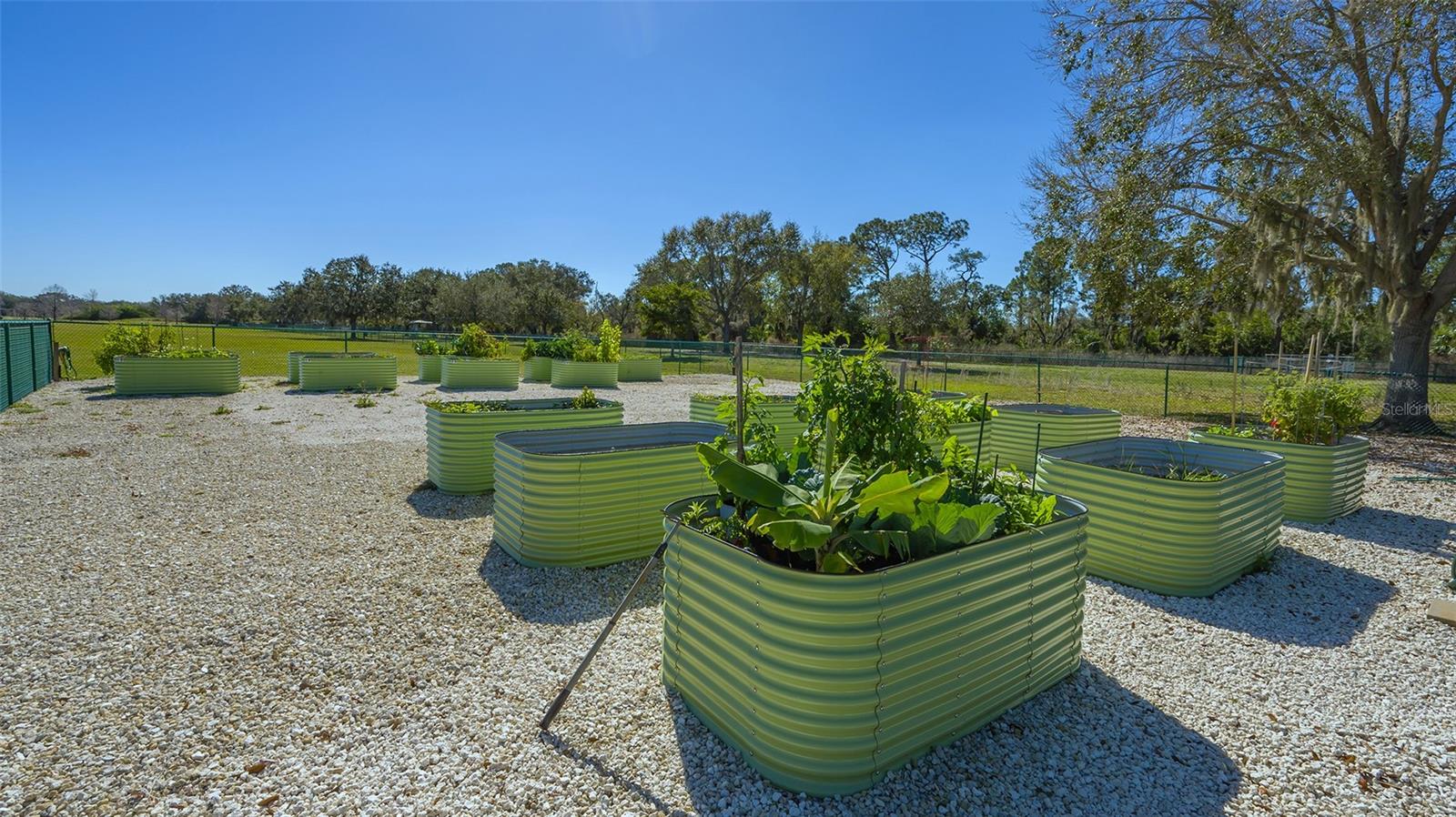 Image 66 of 66 For 6433 Blue Grosbeak Circle