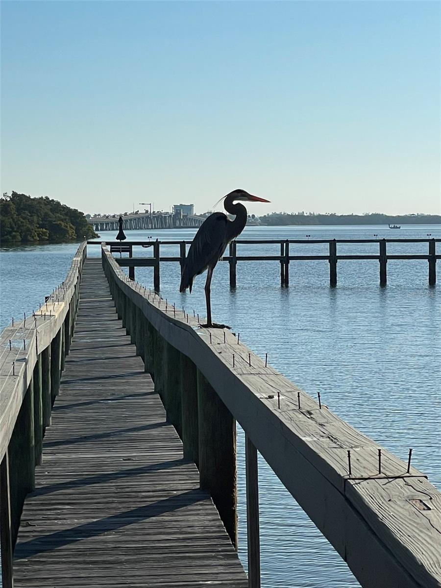 Image 50 of 59 For 3701 East Bay Drive 5