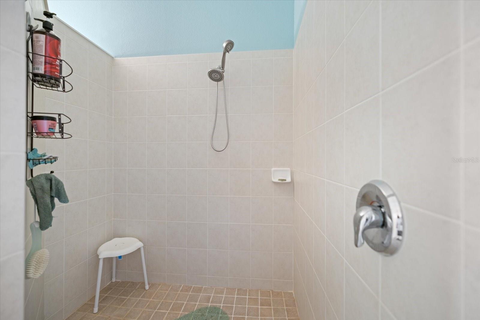 Image 18 of 42 For 1466 Maseno Drive