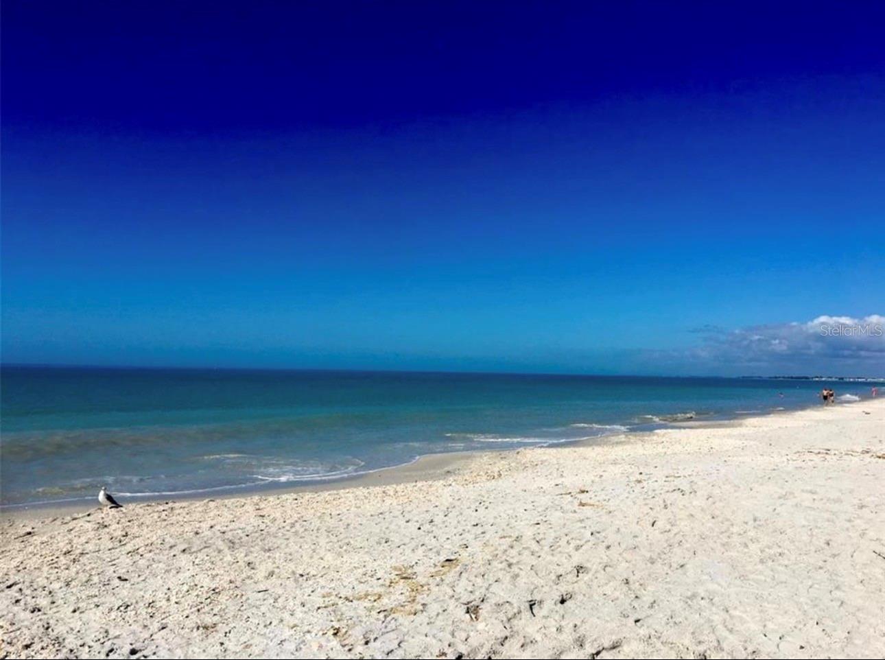 Image 6 of 10 For 215 Pine Valley Lane