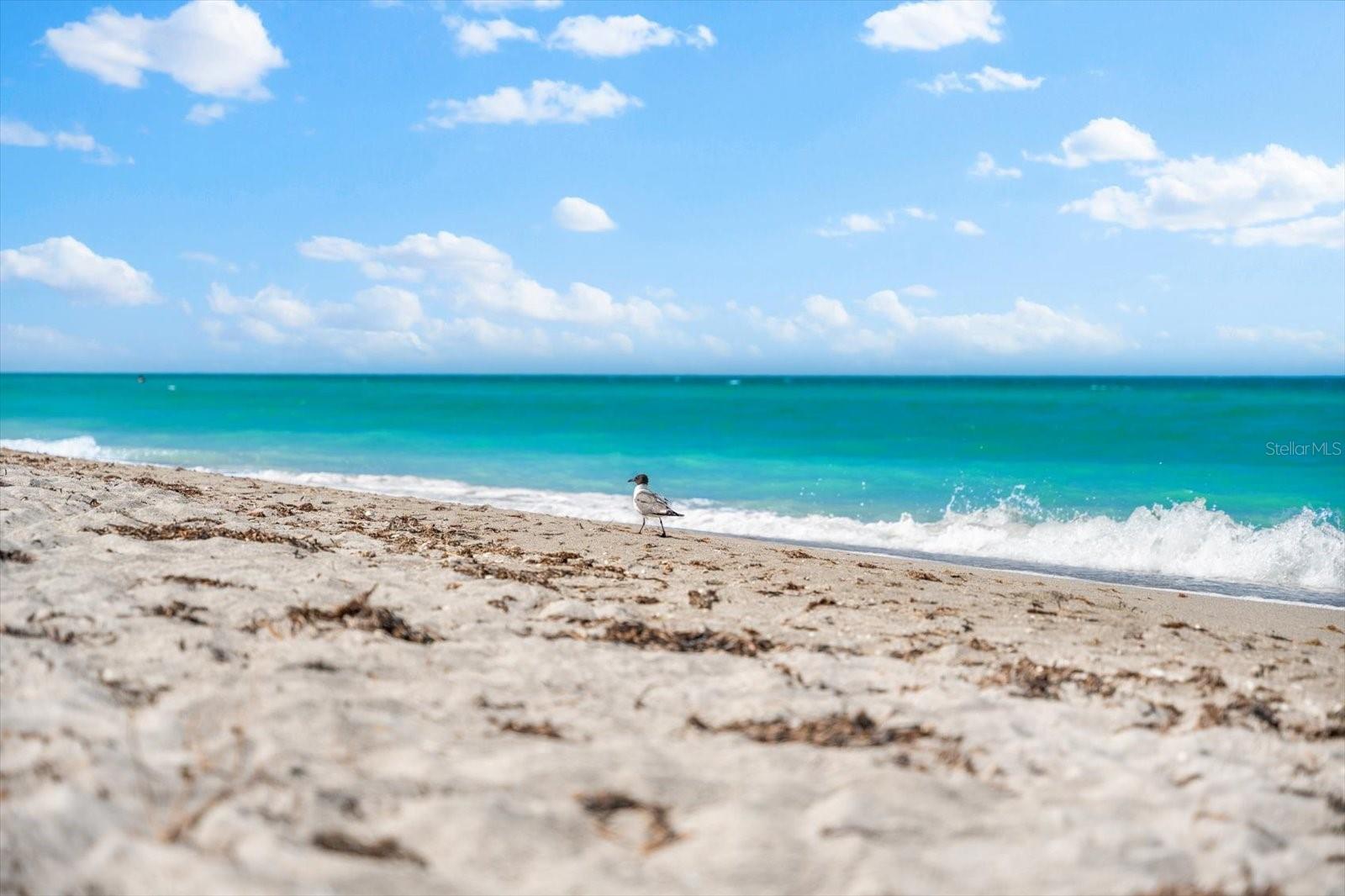 Image 59 of 62 For 8897 Midnight Pass Road 105