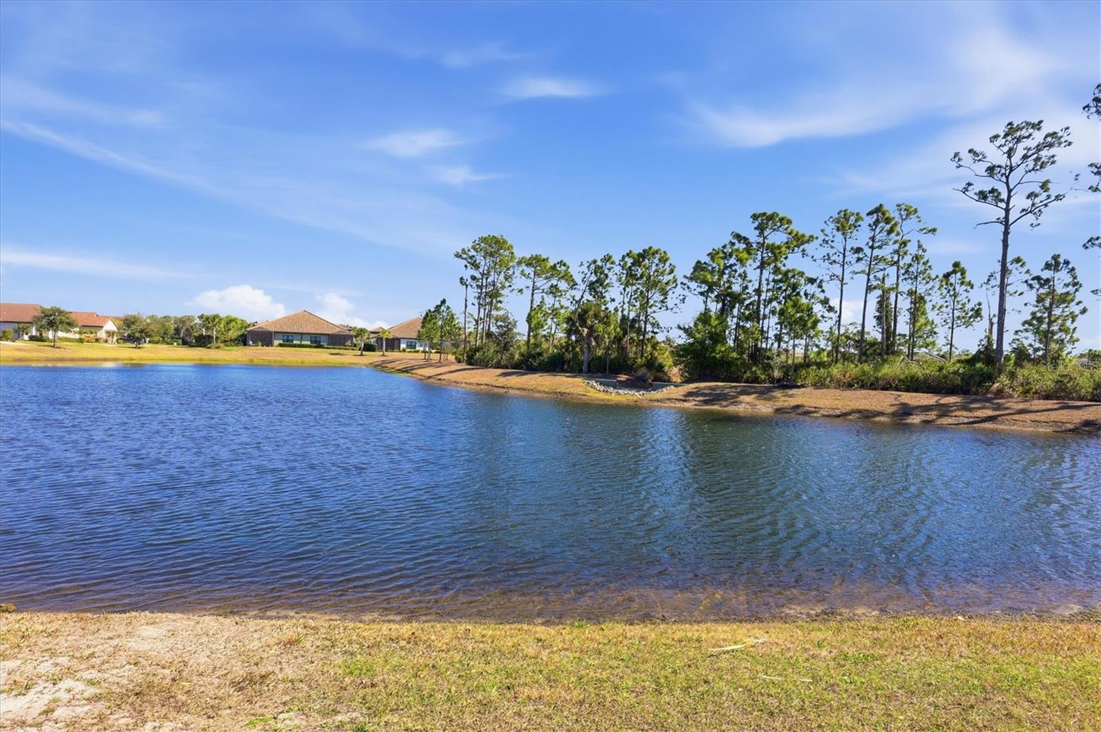 Image 34 of 58 For 216 Brienza Loop