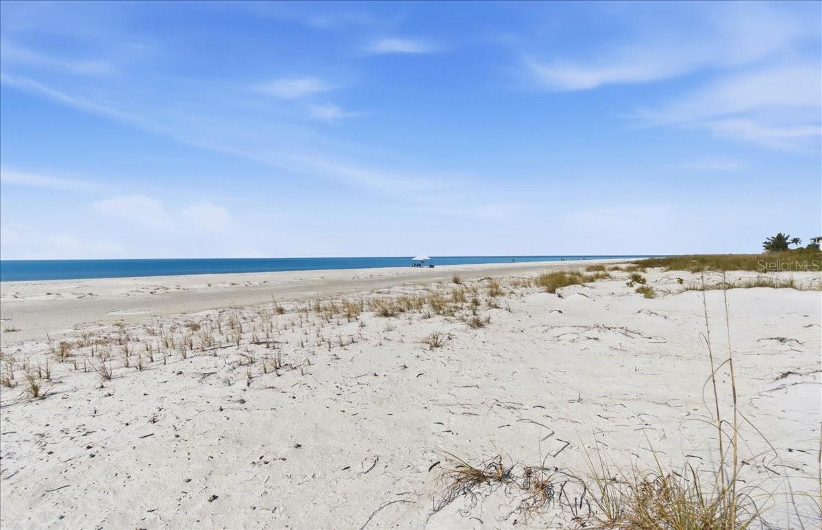 Image 67 of 73 For 102 Tuna Street