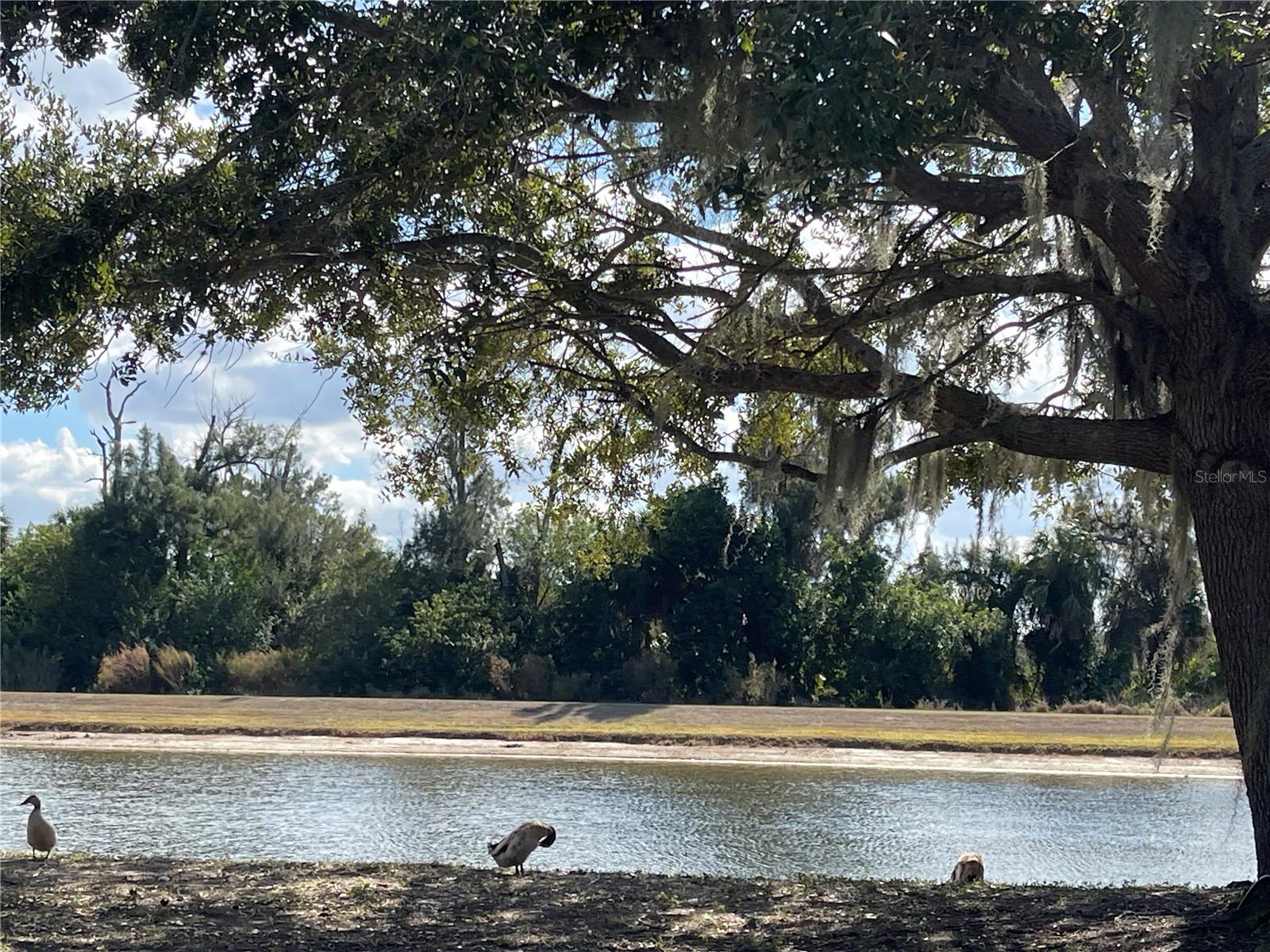 Image 25 of 25 For 2209 Pleasure Run Drive