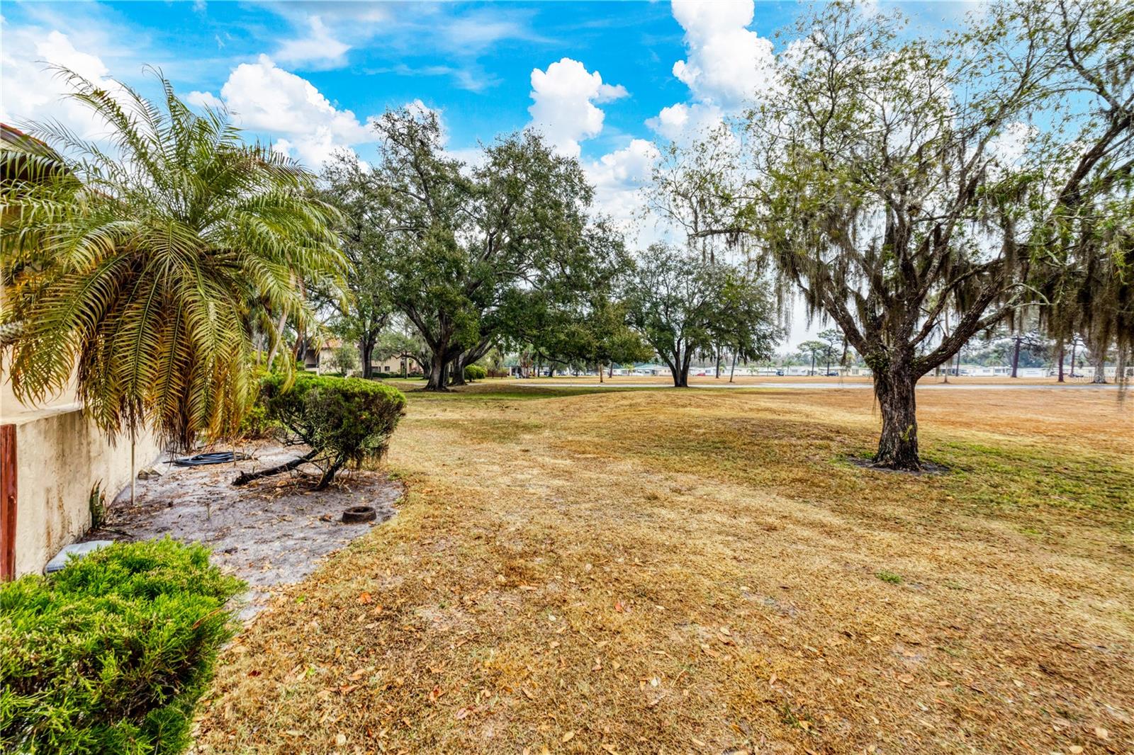 Image 41 of 55 For 1111 Faith Circle 1006