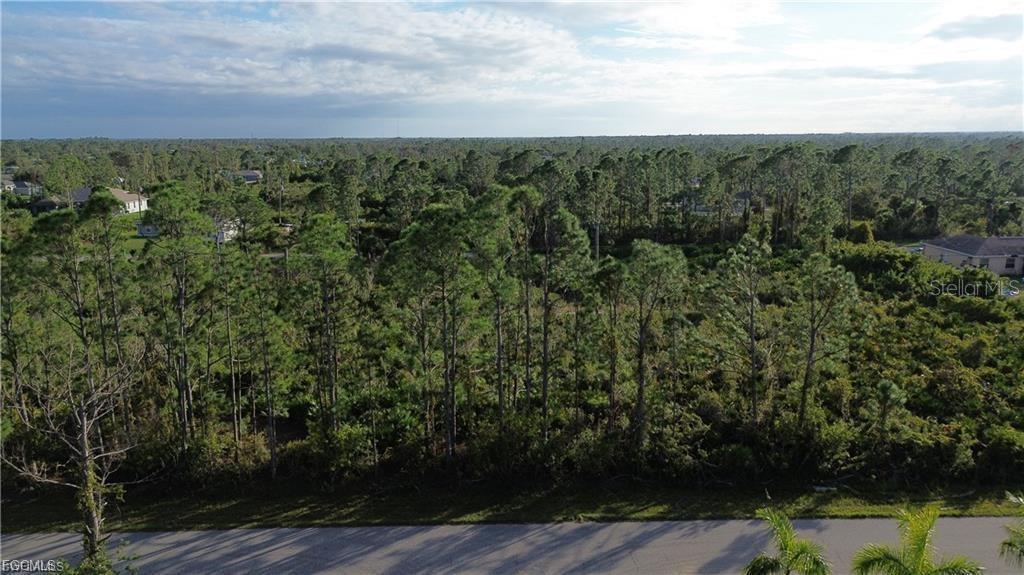 Image 3 of 6 For 12157 Terkelsen Avenue