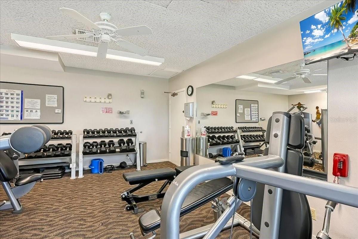 Image 41 of 49 For 1065 Gulf Of Mexico Drive 305