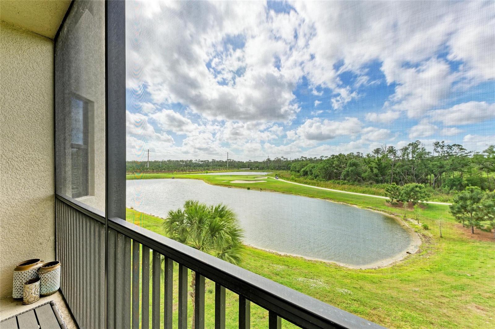 Image 34 of 65 For 18114 Gawthrop Drive 306