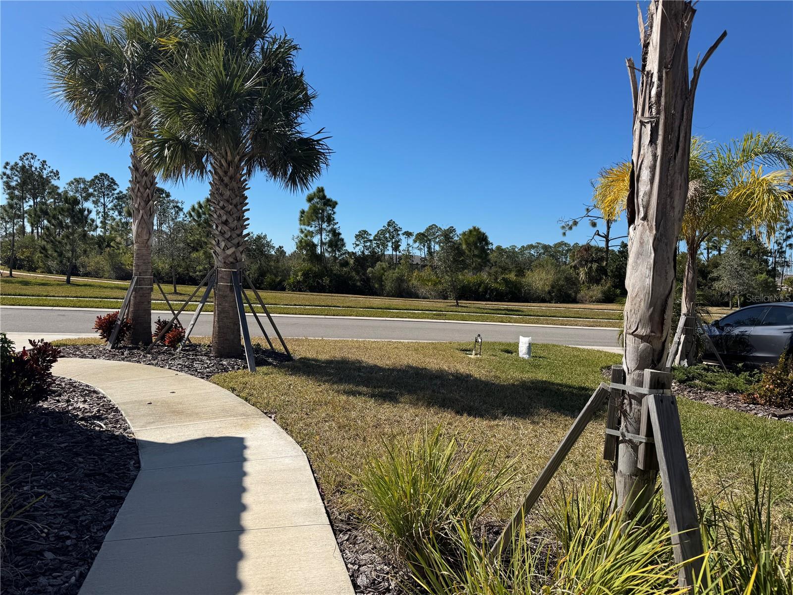 Image 29 of 43 For 261 Potenza Loop