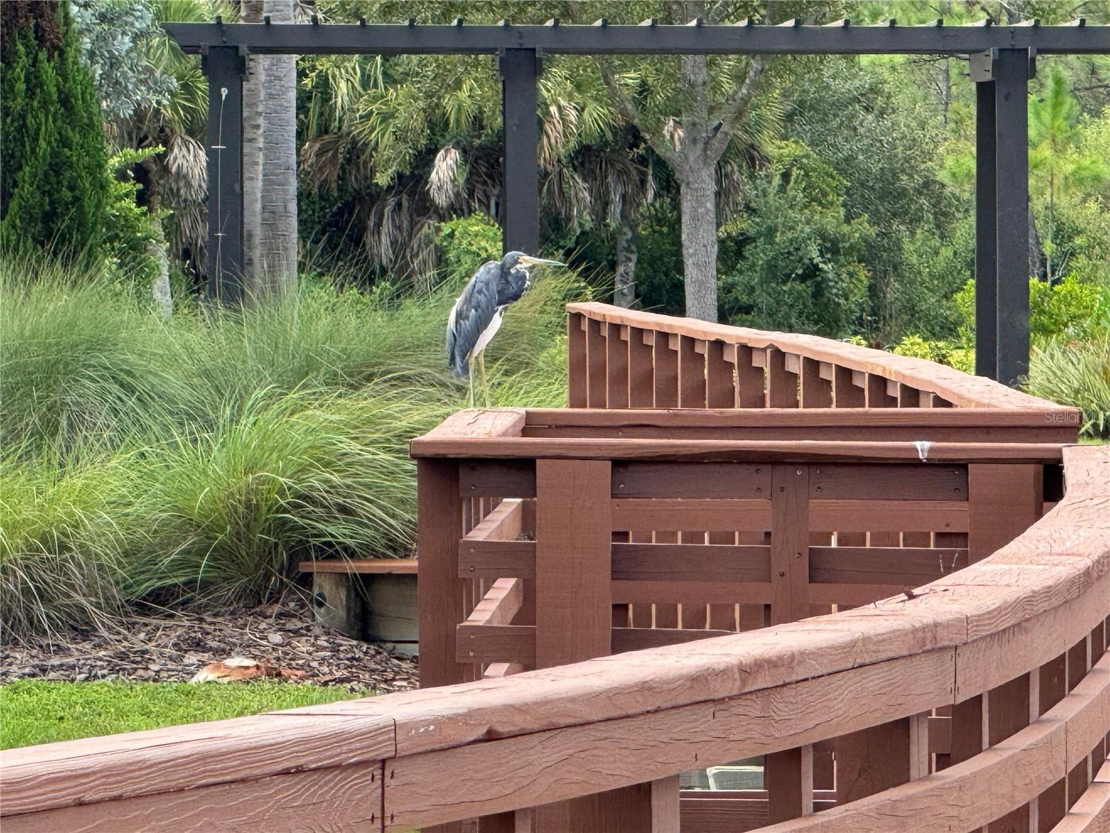 Image 33 of 43 For 261 Potenza Loop