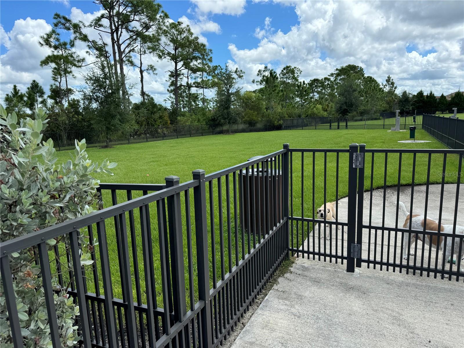 Image 35 of 43 For 261 Potenza Loop