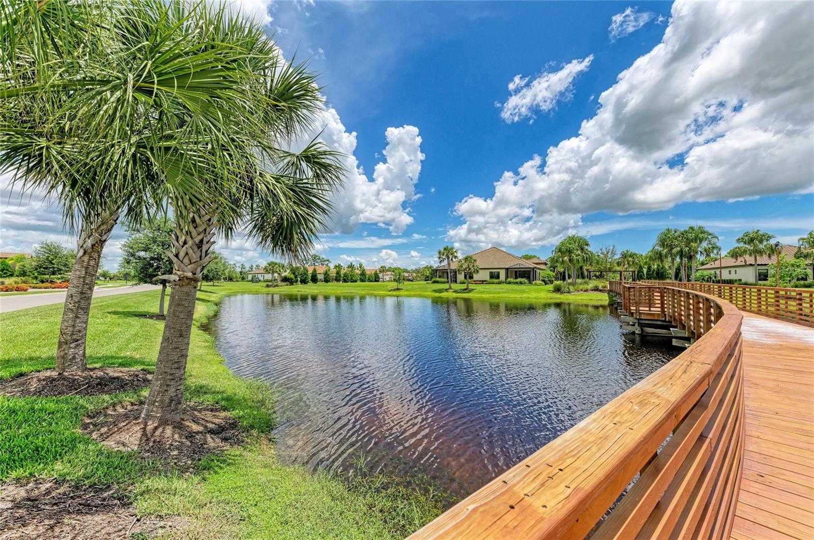 Image 46 of 64 For 329 Palmaria Court