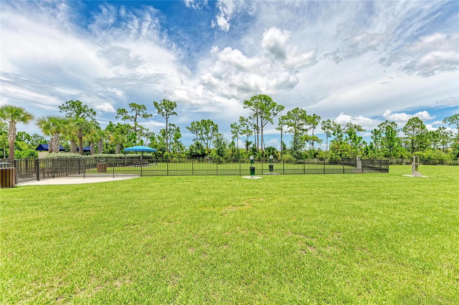 Image 48 of 64 For 329 Palmaria Court