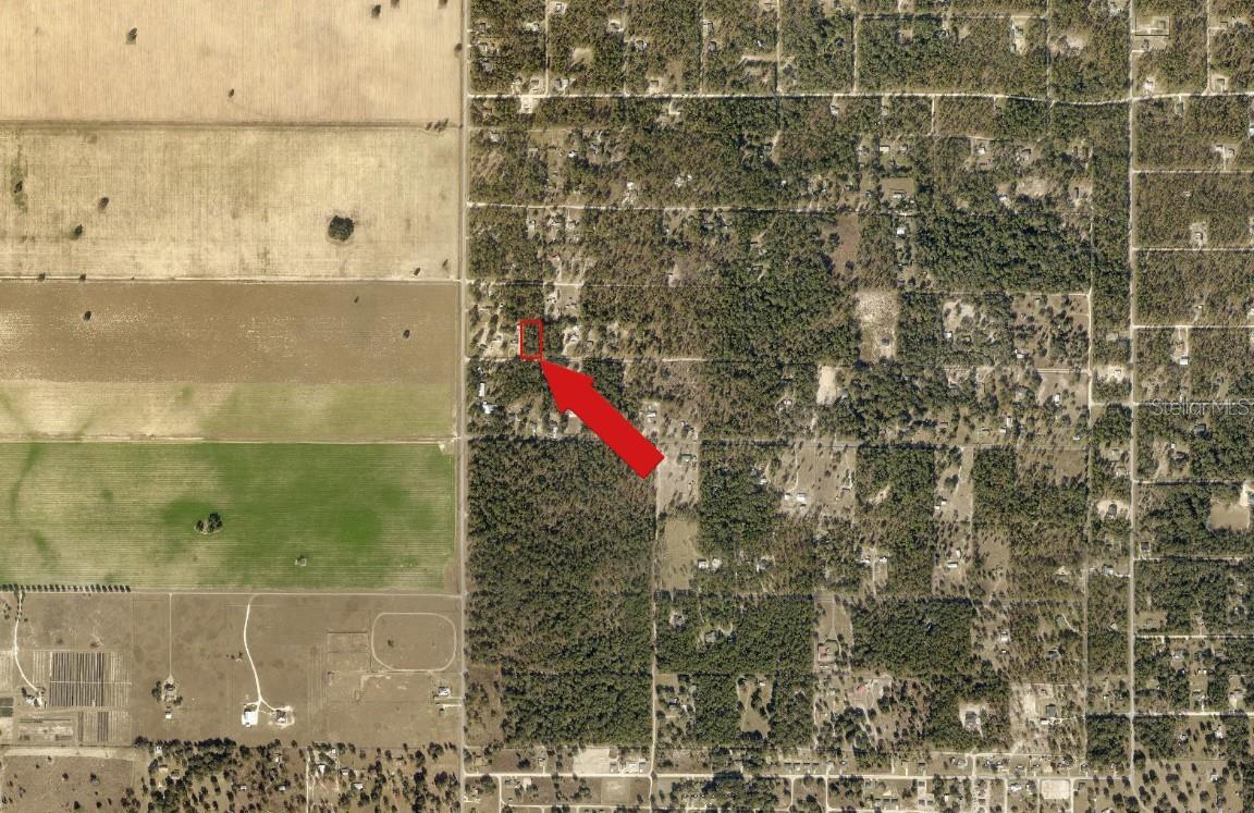 Image 4 of 7 For  93rd Place 