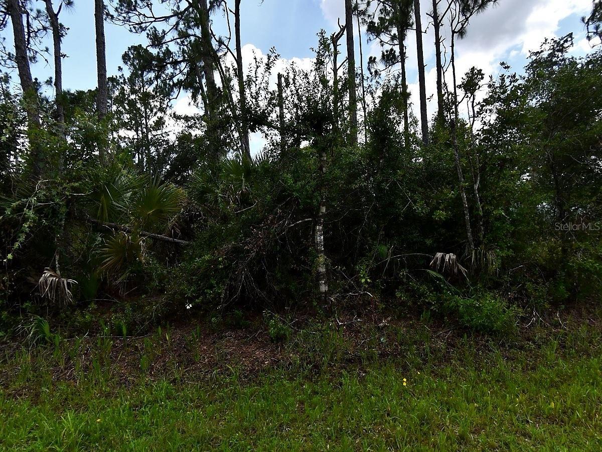 Image 5 of 5 For Hackley Road