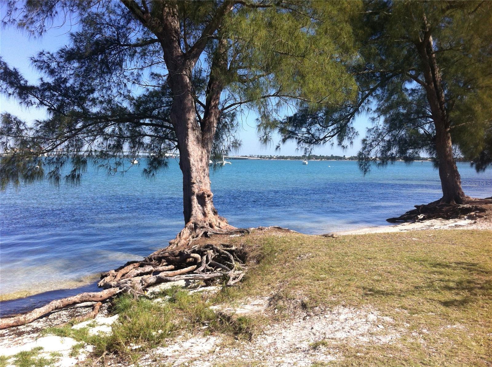 Image 36 of 37 For 4148 Central Sarasota Parkway 1317